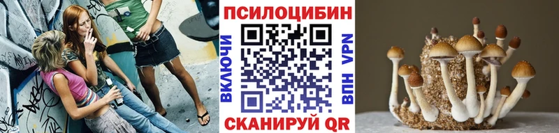 Галлюциногенные грибы MAGIC MUSHROOMS Суворов